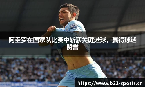 b33体育官网