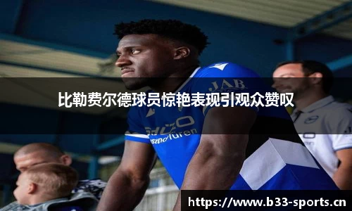 b33体育官网