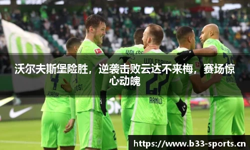 b33体育官方网站