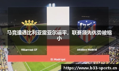 b33体育