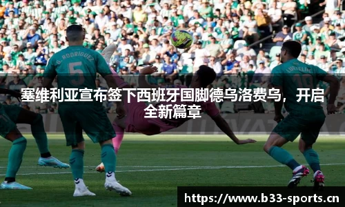b33体育