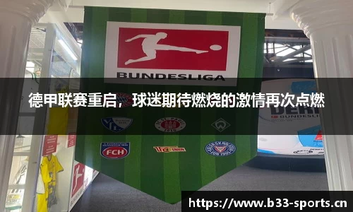 b33体育