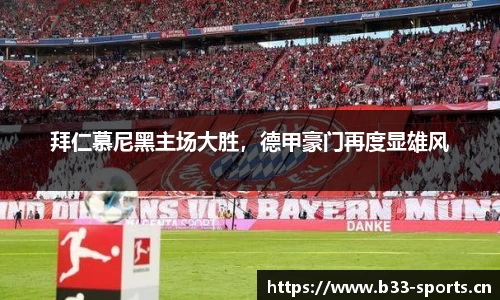 b33体育
