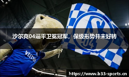 b33体育