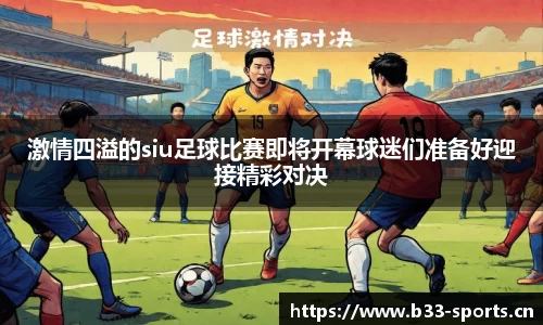 b33体育