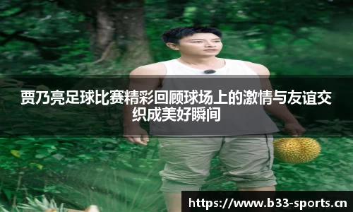 b33体育平台