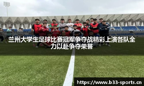 b33体育