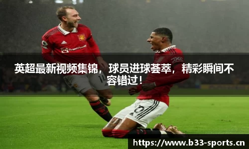 b33体育官网