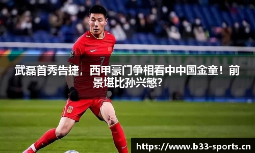 b33体育官网