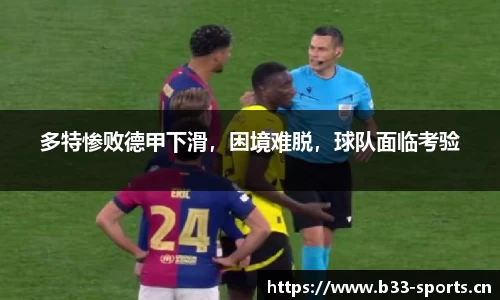 b33体育