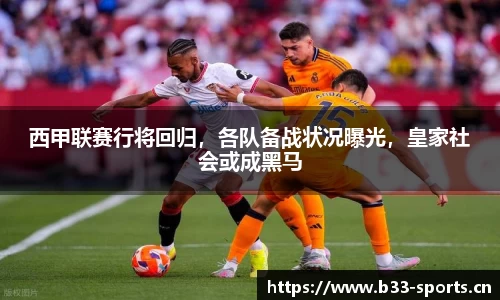 b33体育官网