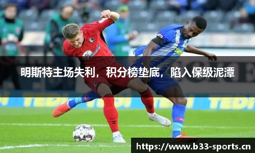 b33体育