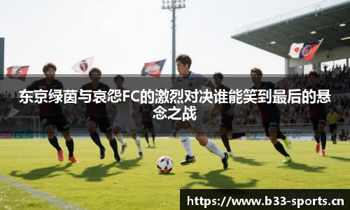 b33体育