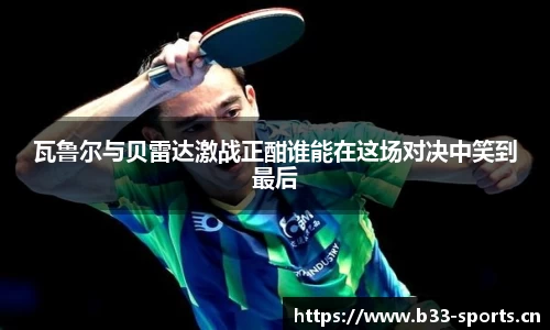 b33体育