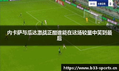 b33体育平台