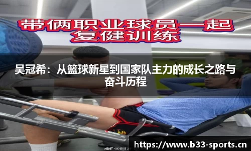 b33体育平台
