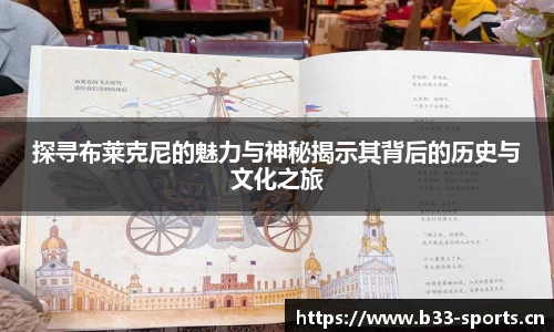 b33体育
