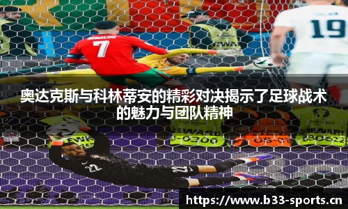 b33体育