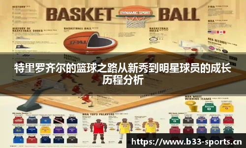 b33体育