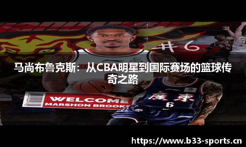 b33体育官网